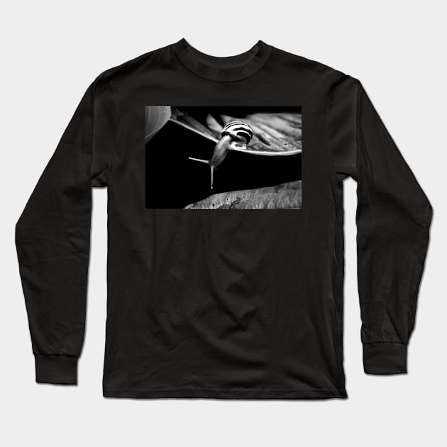 Inquisitive.... Long Sleeve T-Shirt by LaurieMinor